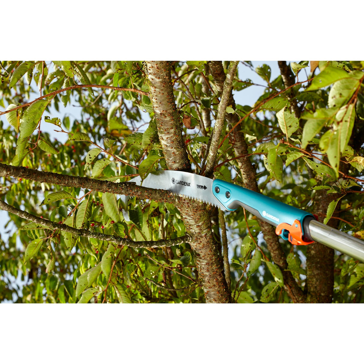 Scie d'élagage Gardena combisystem 300 p courbée (turquoise, 8739-20)