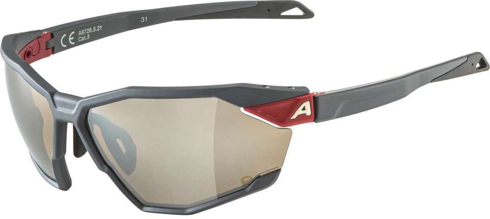 Alpina twist six q - lunettes de sport