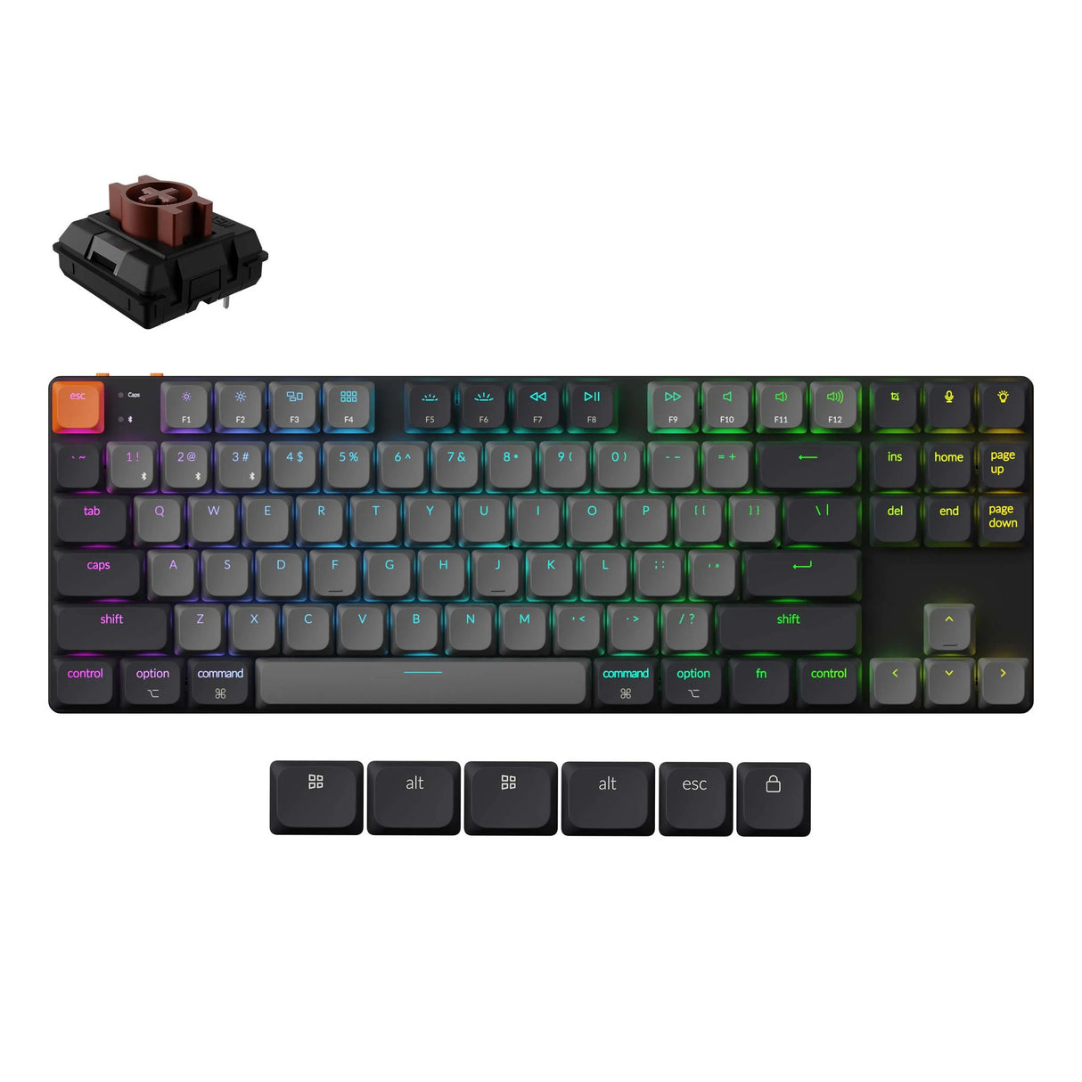 Keychron k1 qmk-h3, clavier (noir, disposition américaine, pompon de lait marron, 80%, LED RVB, touches ABS, échange à chaud, USB-C | Bluetooth 5.2)