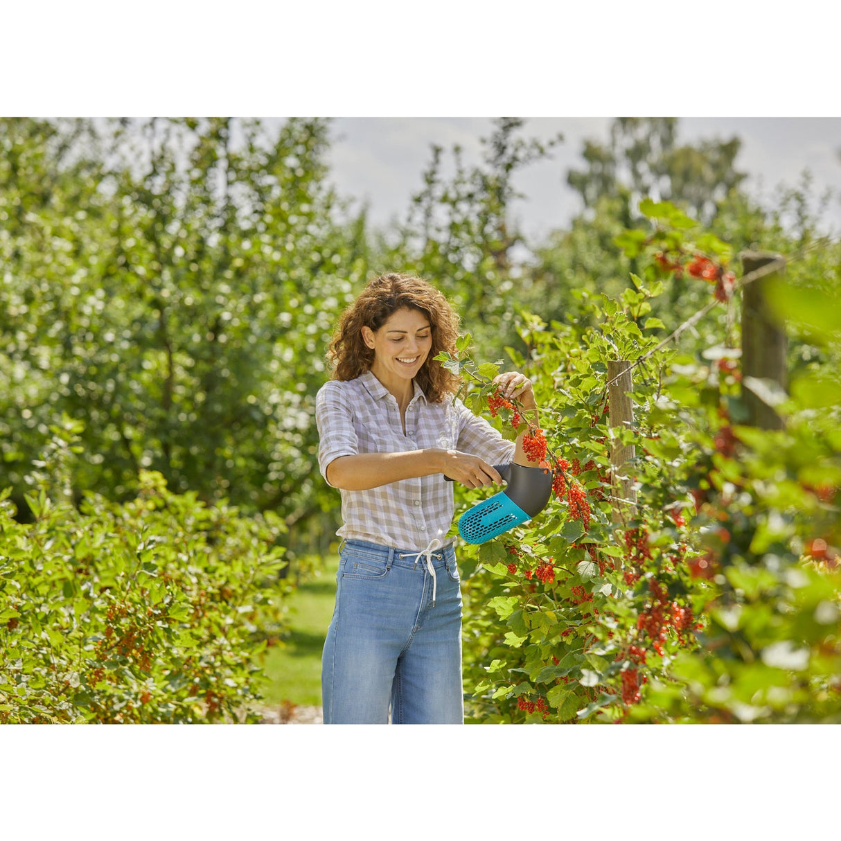 Ensemble de cueilleurs de baies Gardena Combisystem