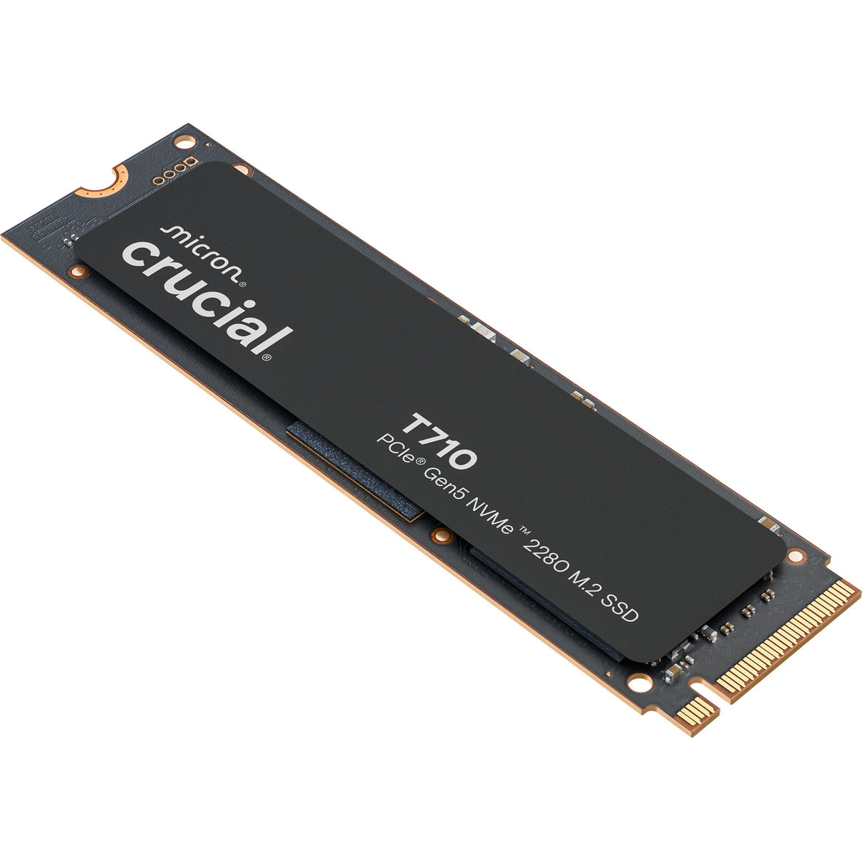SSD Crucial T710 1 To (PCIe 5.0 x4, NVME 2.0, M.2 2280)
