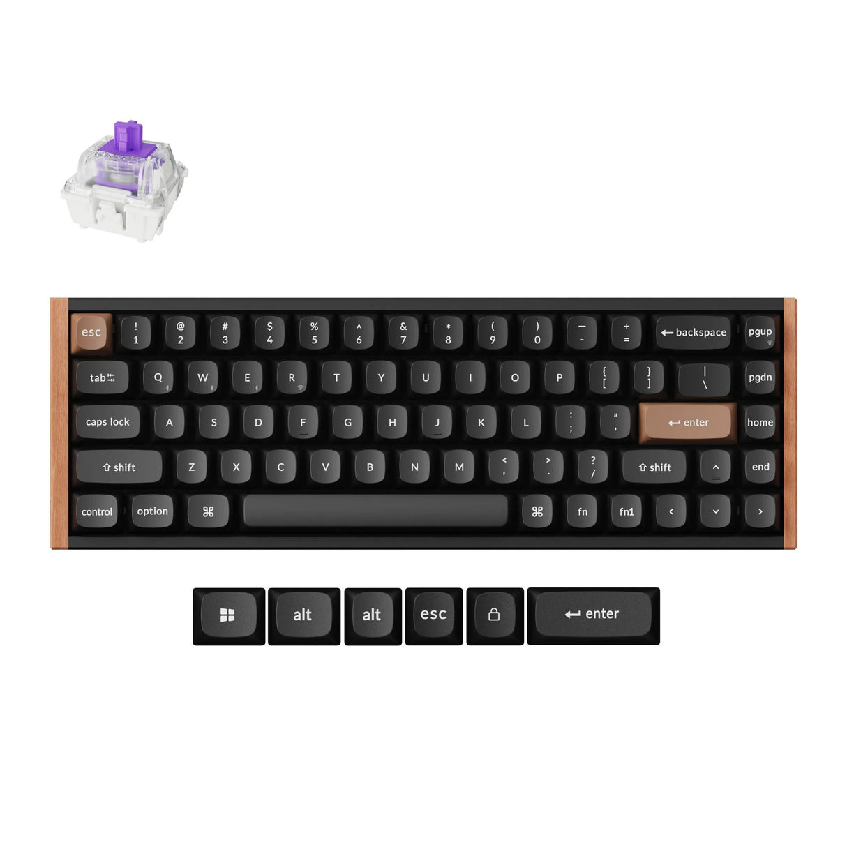 Clavier mécanique Keychron k6 he-f1 rgb (noir, disposition américaine (qwerty), nébuleuse magnétique à double rail gateron, 65%, leds rgb, osa double-shot pbt, hot swap, usb-c | 2,4 ghz | bluetooth 5.1)