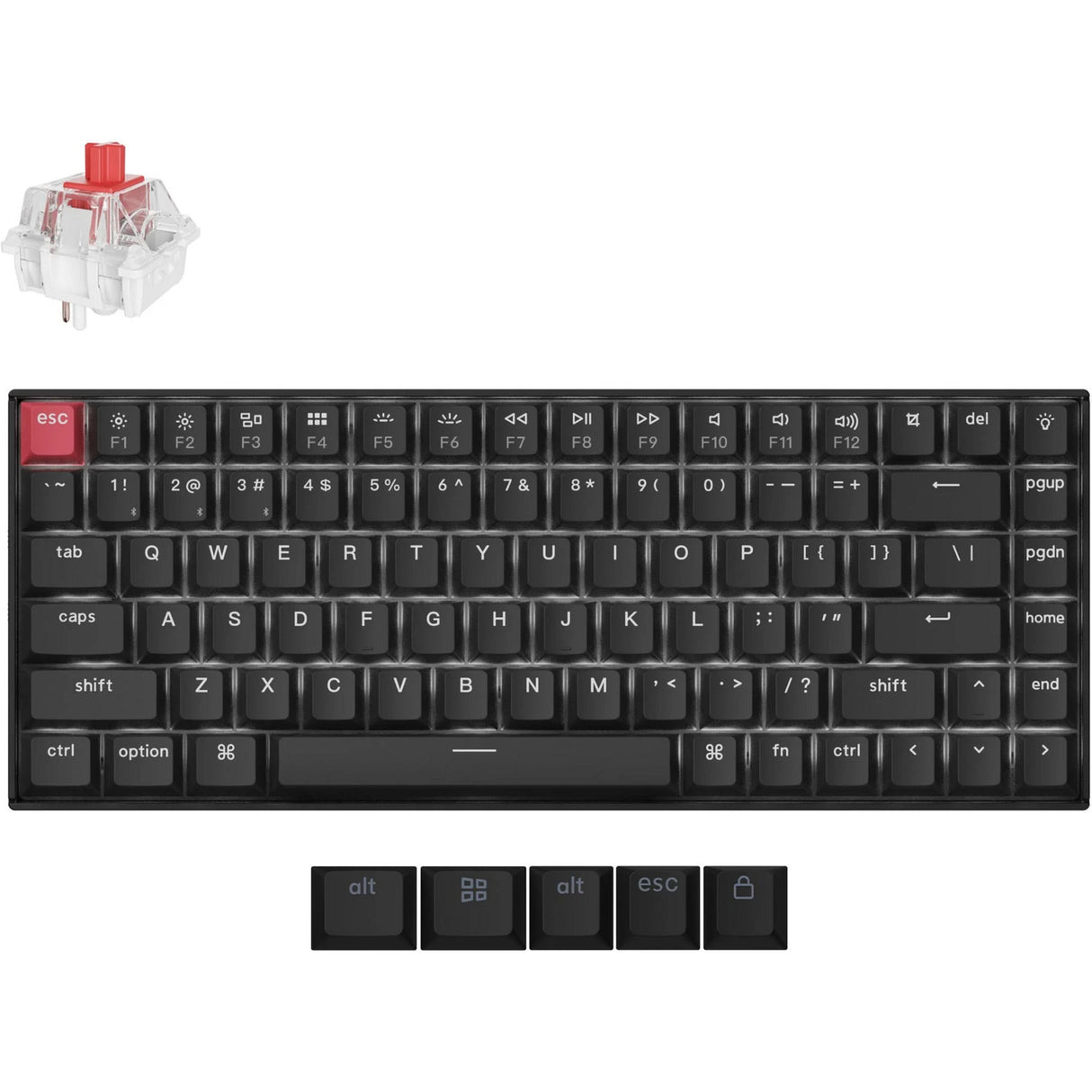 Keychron k2 qmk-a1, clavier (noir, disposition américaine, super rouge, leds blanches, 75%, pbt double shot cerise, bluetooth 5.2 | usb-c)