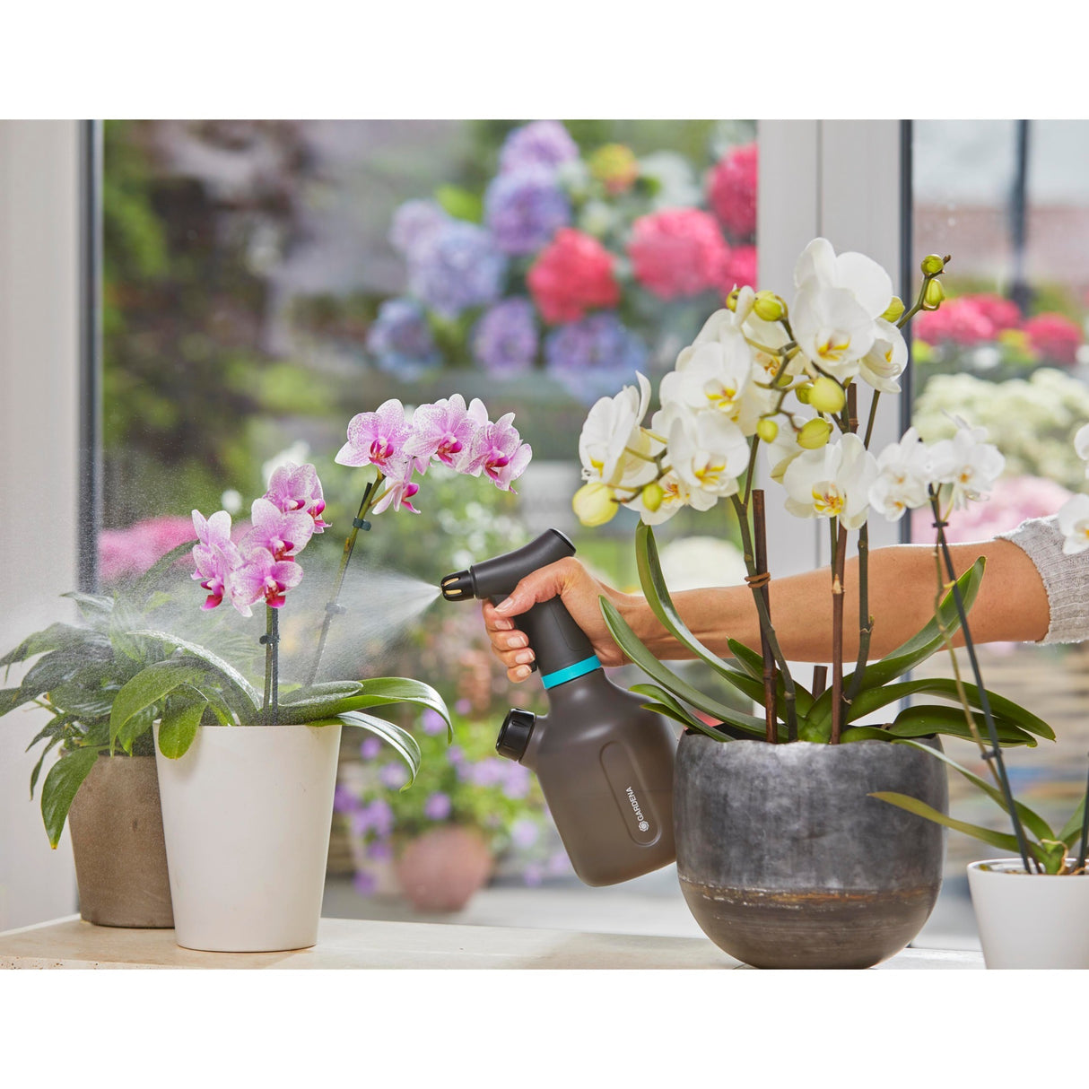 Vapeur de la plante Gardena 1 l