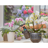 Vapeur de la plante Gardena 1 l