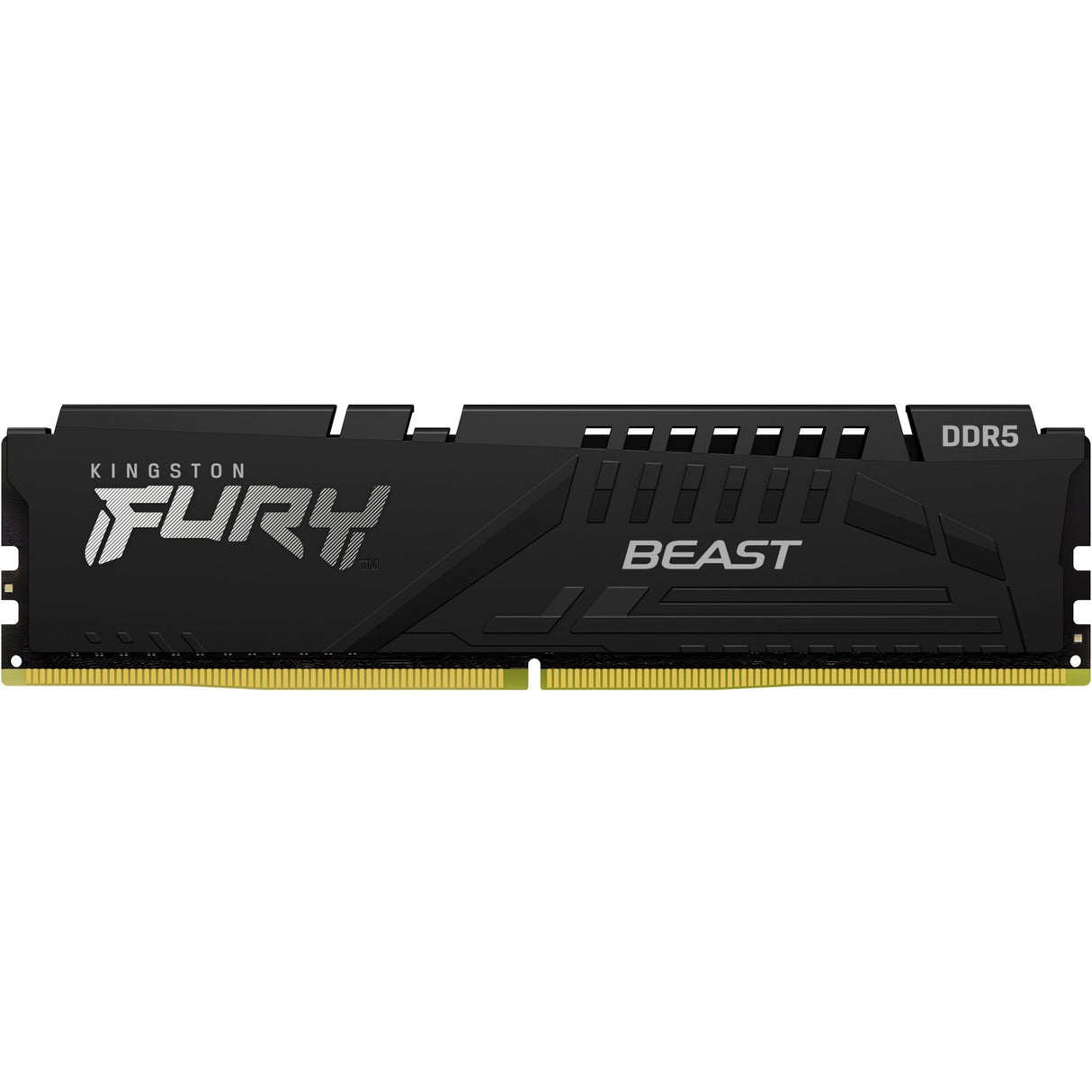 Kingston Fury Kingston Fury 16 Go DDR5-5200