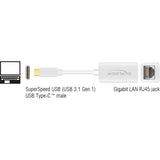 Delock superspeed USB-C (USB 3.1 gen 1) mâle > adaptateur compact Gigabit LAN 10 100 1000 mbps (blanc, 0,135 mètres)