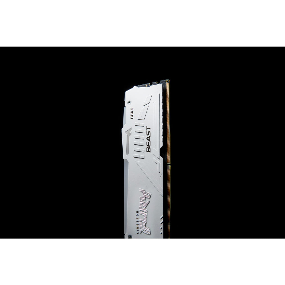 Kingston Fury Kingston Fury 16 Go DDR5-5600