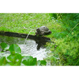 Turtle de figurines ubbink