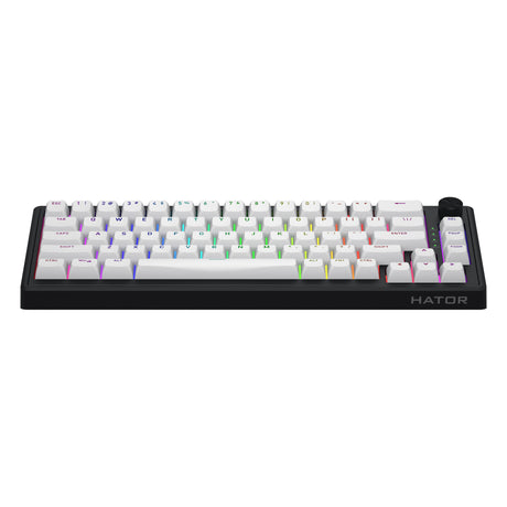 Hator skyfall mag ultra 8k rgb mechanisch gaming toetsenbord (zwart, us lay-out (qwerty), hator aurum ice, 65%, rgb, double-shot pbt, hot-swap)