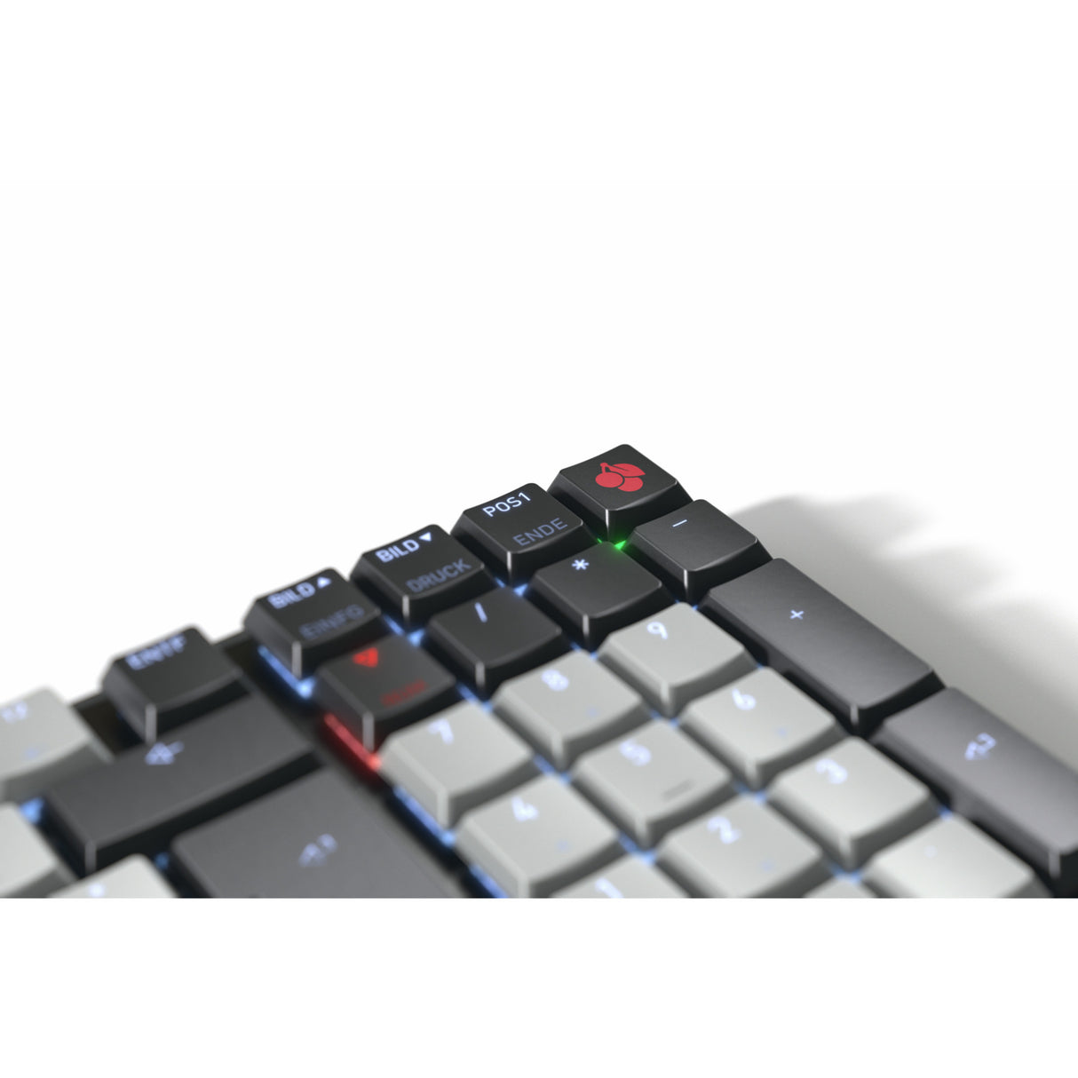 Cherry kw 550 mx lp, clavier (noir, disposition américaine, mx low profile 2.0 ivoire, 96%, led blanche, touches pbt)