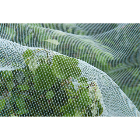 Moustiquaire en maille anti-insectes Nature (blanc transparent, 5,2 x 5 m)