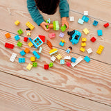 LEGO DUPLO 10913 Boîte de rangement avec blocs de construction
