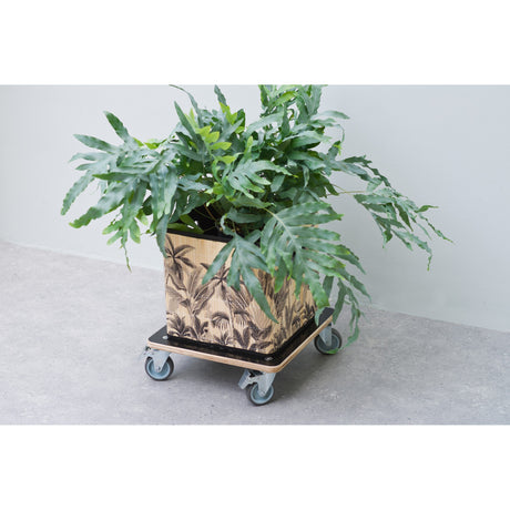 Carré de chariot de plante naturelle
