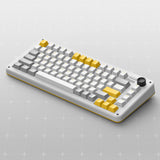 Clavier mécanique sans fil Ty iquunix zx75 gravi wave (gris, disposition américaine (qwer), rouge gateron, 75 %, LED RVB, remplaçable à chaud, pbt double prise, 2,4 GHz | Bluetooth 5.1 | USB-C)