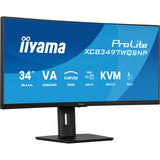 Iiyama Prolite