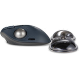 Kensington slim duo gel souris trackball repose-poignet repose-poignet (gris noir)