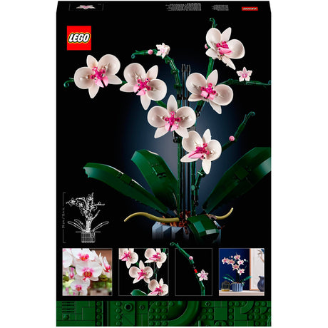 Icônes LEGO 10311 Orchid