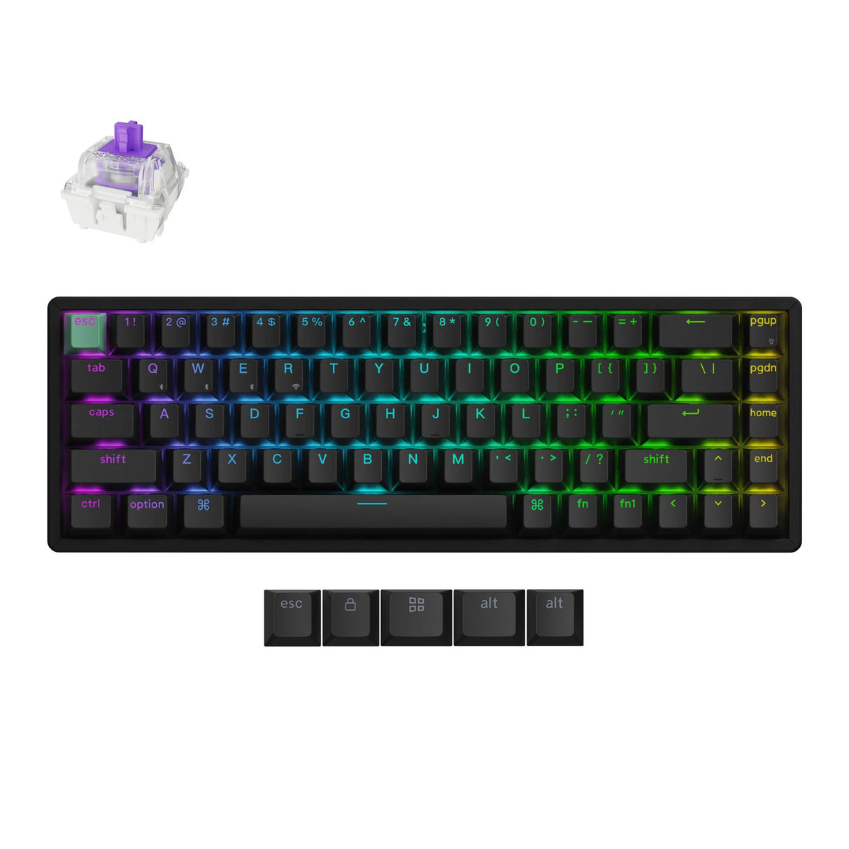 Clavier mécanique Keychron k6 he-j1 rgb (noir, disposition américaine (qwerty), nébuleuse magnétique à double rail gateron, 65%, LED rgb, pbt double shot cerise, échange à chaud, usb-c | 2,4 ghz | bluetooth 5.1)