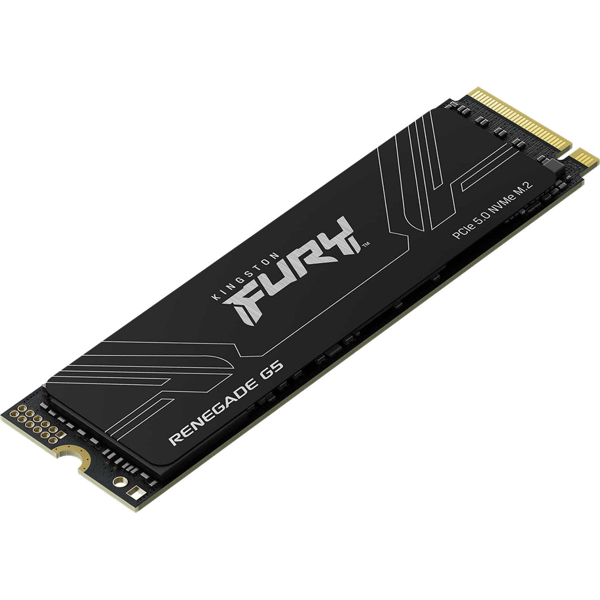 SSD Kingston Renegade G5 4 To (noir, Sfyr2S 4T0, PCIe 5.0 x4, NVMe, M.2 2280)