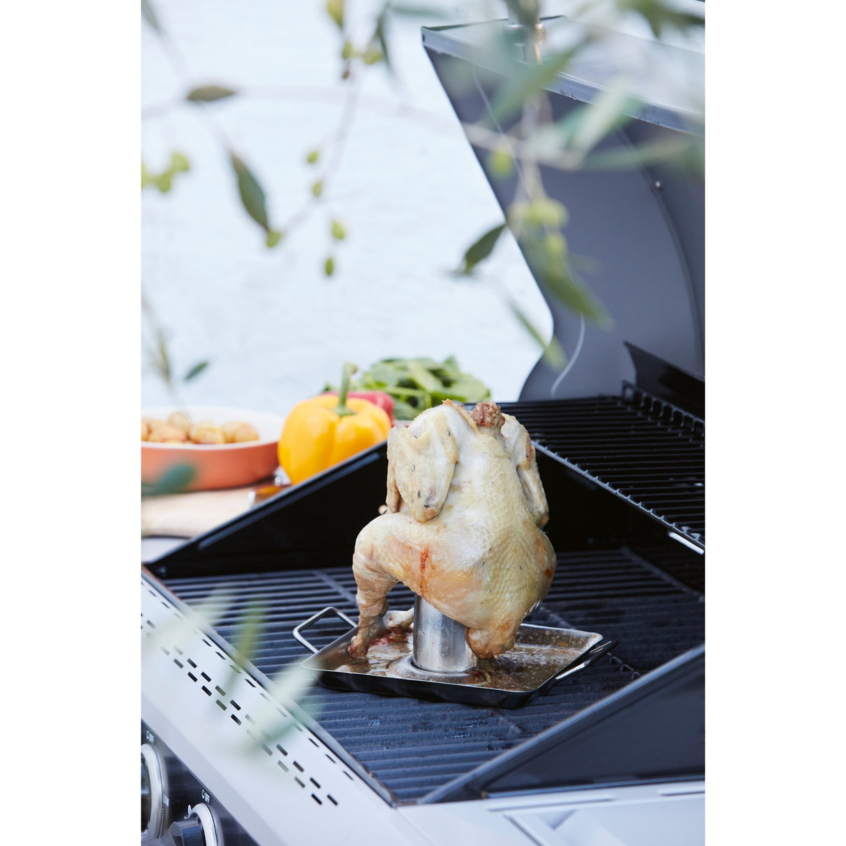 Support à poulet Barbecook