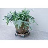 Nature Nature Plant Trolley Round