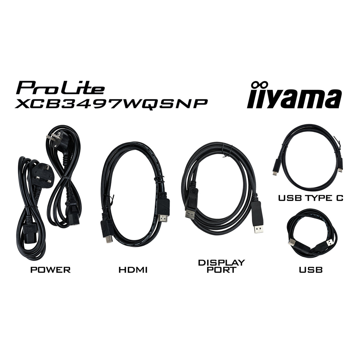 Iiyama Prolite