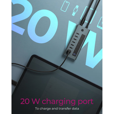 Icy box Hub USB 7 ports USB-C 3.2 gen 2 (bleu-gris)