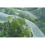 Mesh insecte de la nature, fine-mailli