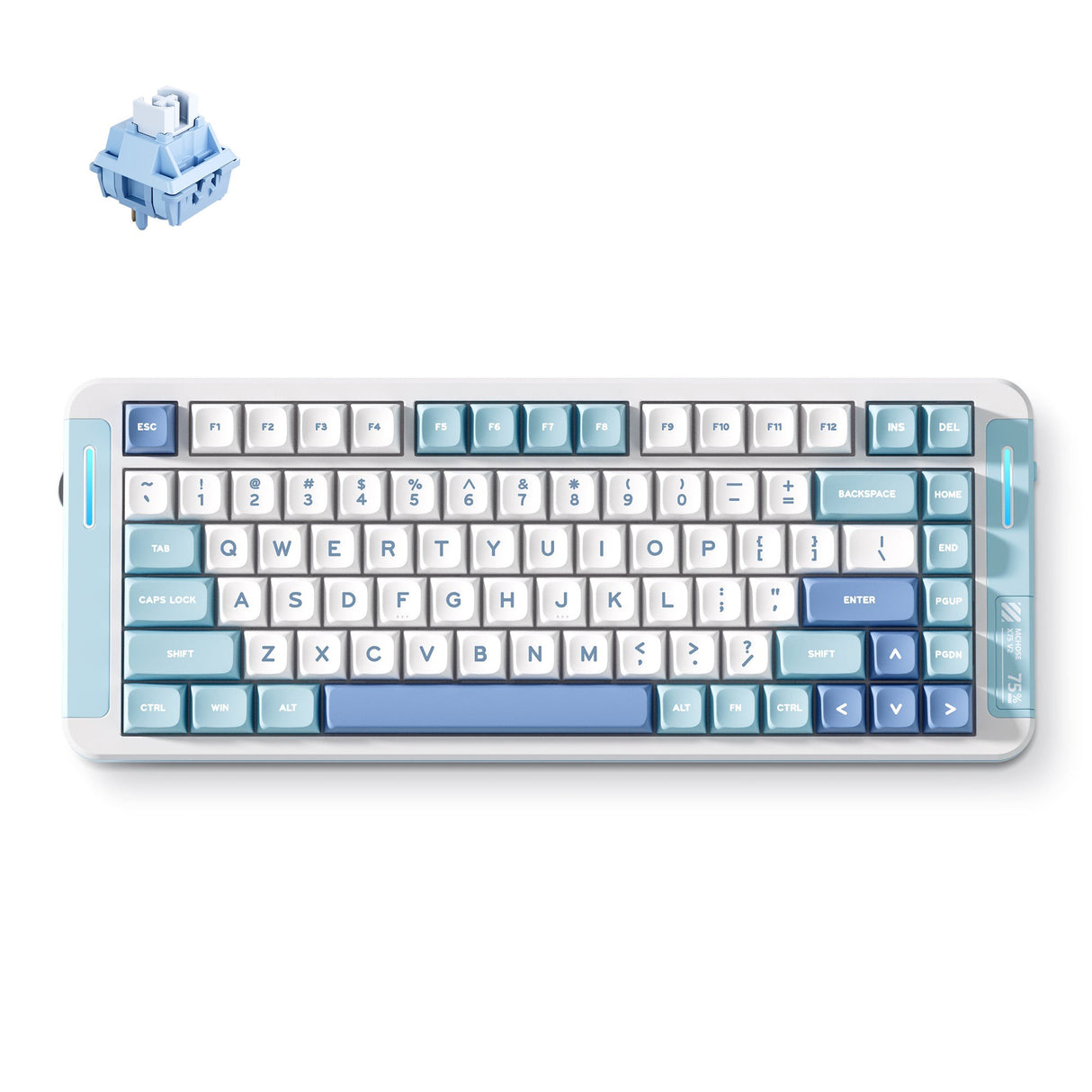 Clavier RVB mécanique personnalisé Mchose x75 v2 Blue Whale Sea (blanc, disposition américaine (qwerty), swk baleine mer, 75 %, RVB, hot swap, double-shot pbt, sans fil | Bluetooth | USB-C)
