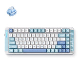 Clavier RVB mécanique personnalisé Mchose x75 v2 Blue Whale Sea (blanc, disposition américaine (qwerty), swk baleine mer, 75 %, RVB, hot swap, double-shot pbt, sans fil | Bluetooth | USB-C)