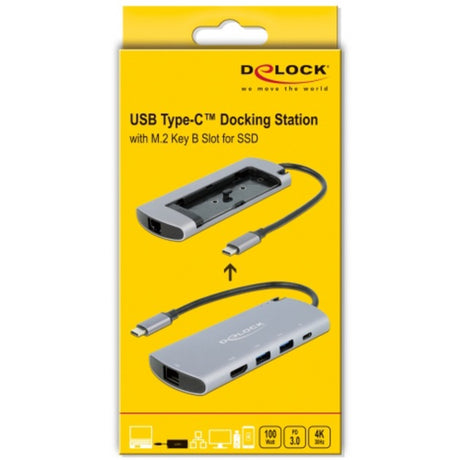 Delock Station d'accueil USB Type-C avec emplacement m.2 (gris)