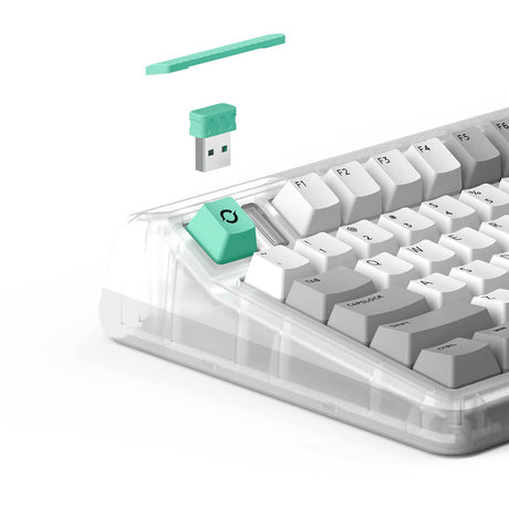 Clavier mécanique sans fil Iqunix OG80 (gris, disposition américaine (QWERTY), Cherry MX Brown, 80 % (TKL), LED RVB, remplaçables à chaud, PBT, 2,4 GHz | Bluetooth 5.1 | USB-C)