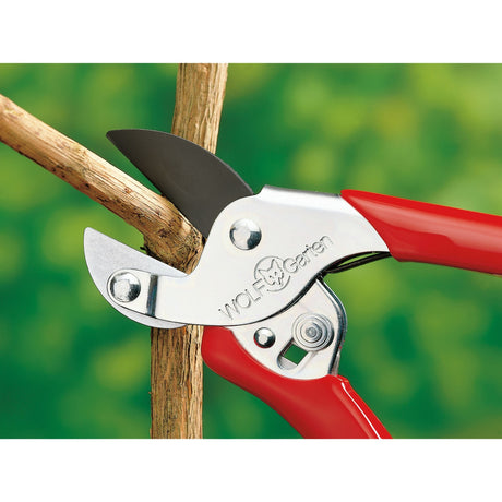 Wolf-Garten RS et Srung Shears