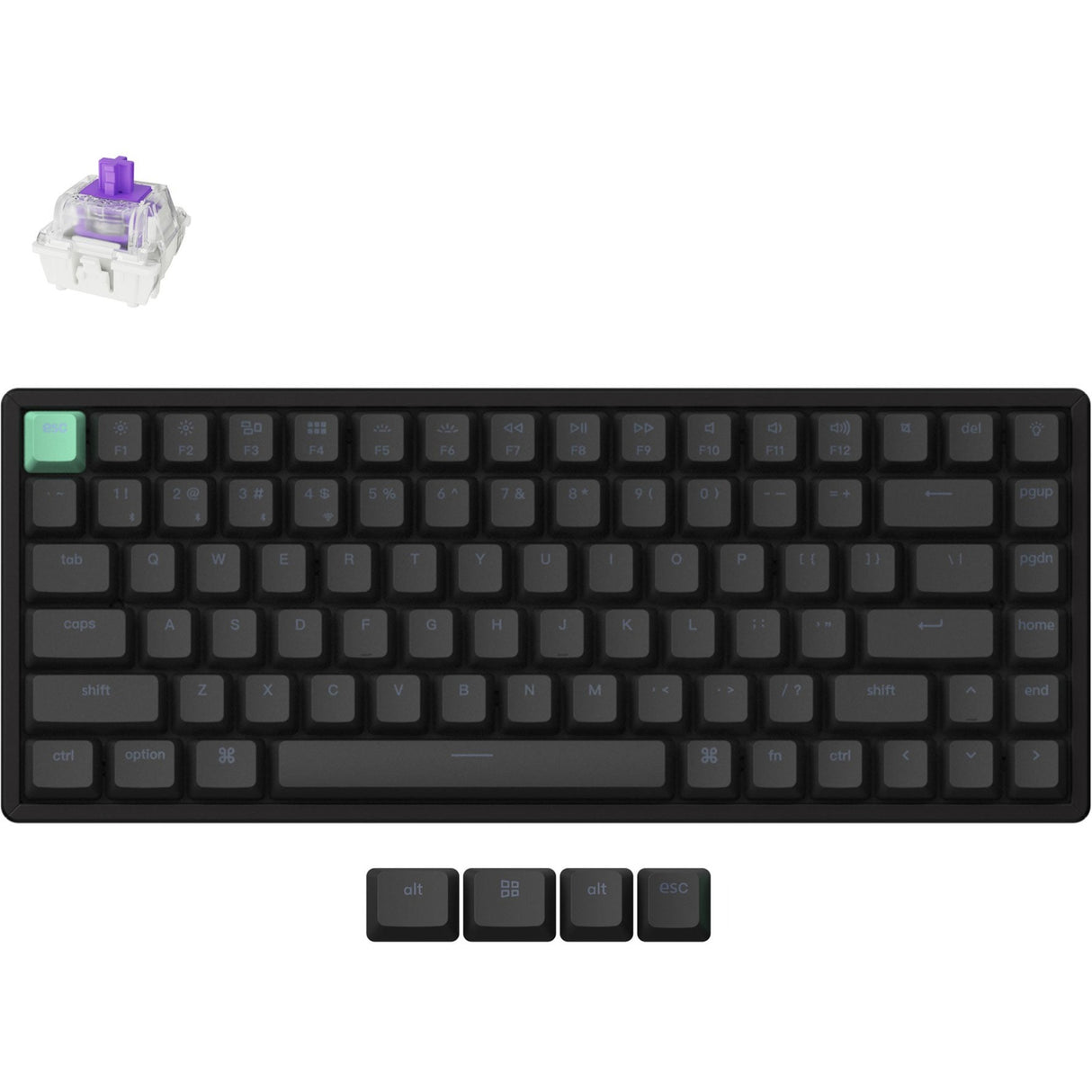 Clavier mécanique RVB Keychron k2 he-j1 version standard (noir, disposition américaine (qwerty), nébuleuse magnétique à double rail Gateron, 75 %, RVB, osa double-shot pbt, échange à chaud, 2,4 GHz | Bluetooth 5.2 | USB-C)
