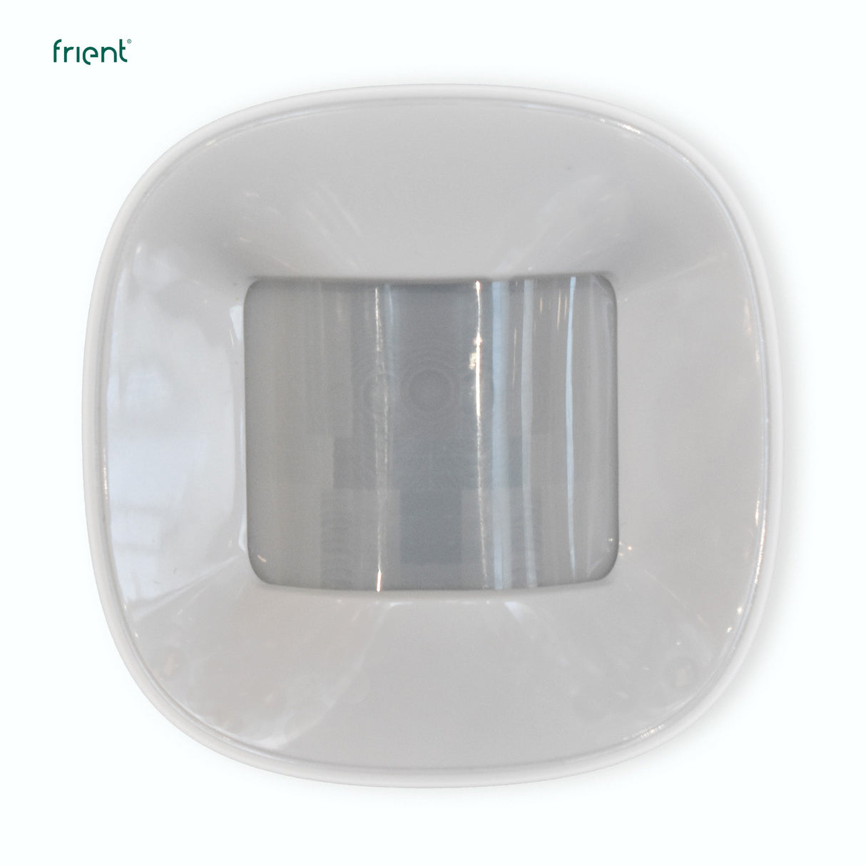 Capteur Frit 2 animaux
