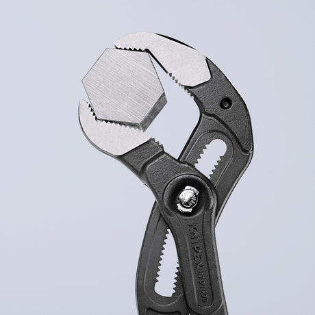 Knipex Cobra xl Water Pupptang 8701400