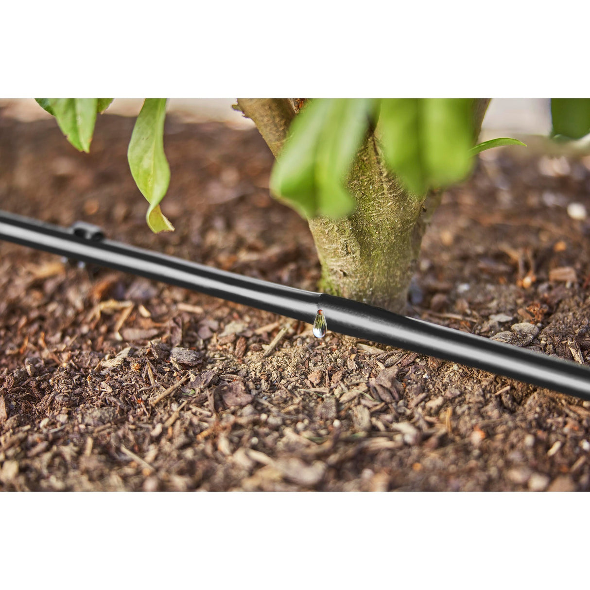 Gardena micro-arrosage goutte à goutte pour haies et arbustes (50 m) goutteur (noir)