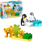 Lego duplo 10442 familles d'animaux sauvages pingouins et lions