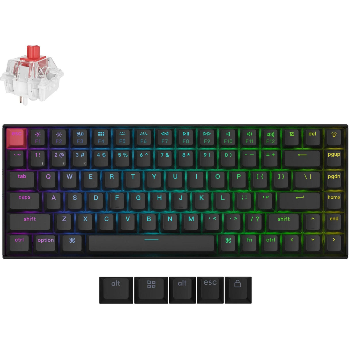 Clavier mécanique Keychron K2 QMK-H1 RGB (noir, disposition américaine (QWERTY), super rouge, 75 %, LED RVB, PBT double-shot cerise, échange à chaud, Bluetooth 5.2 | USB-C)