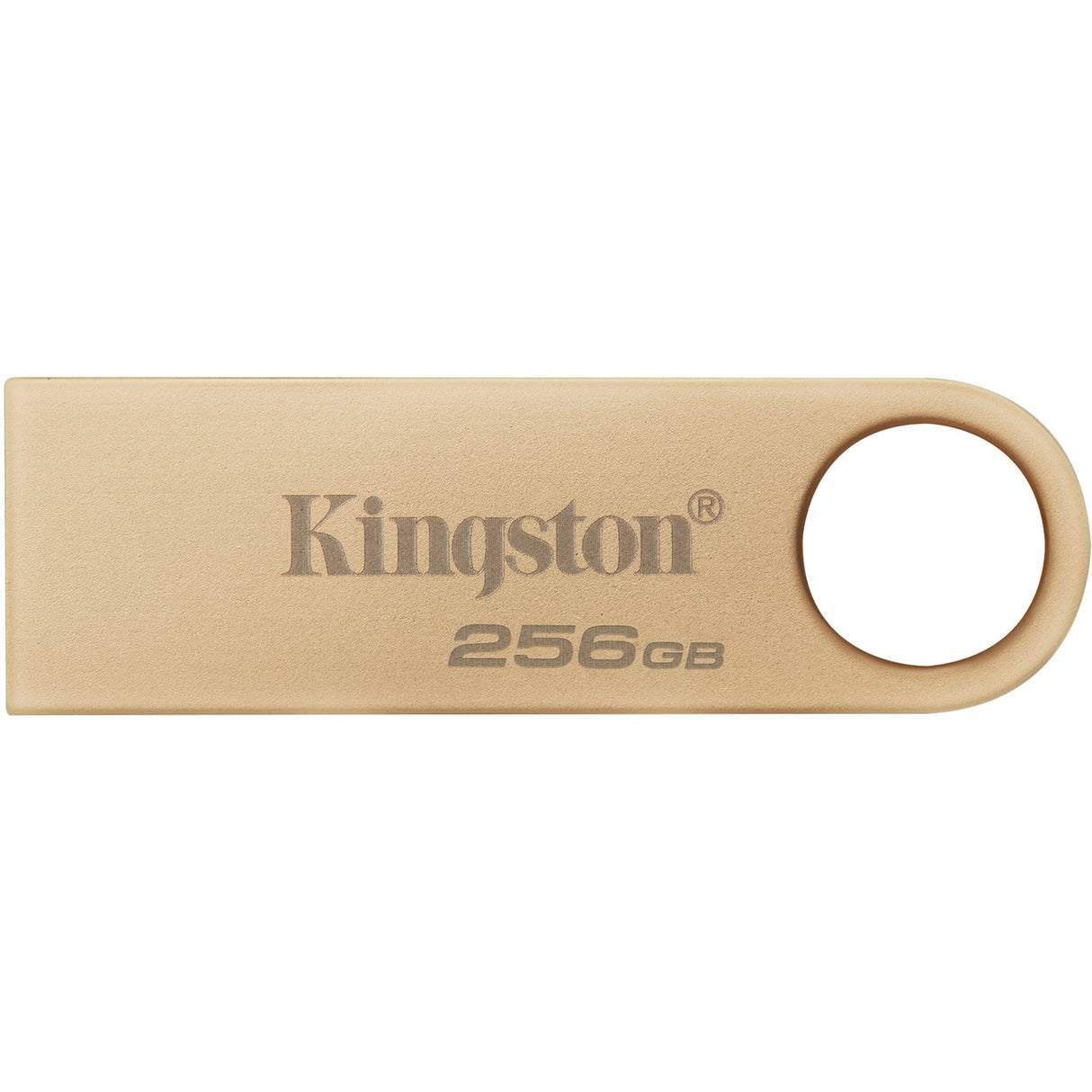 Kingston DataTraveler SE9 G3 256 Go