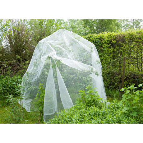 Moustiquaire en maille anti-insectes Nature (blanc transparent, 5,2 x 5 m)
