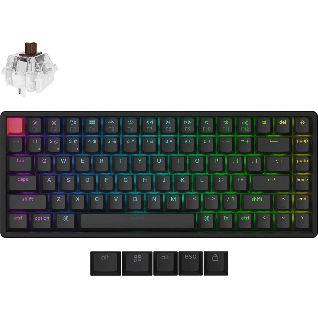 Keychron k2 qmk-j3, clavier (noir, disposition américaine, super marron, led rgb, 75%, pbt double shot cerise, échange à chaud, bluetooth 5.2 | usb-c)