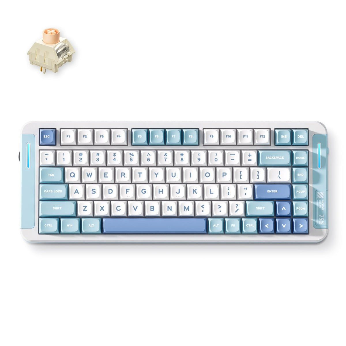 Clavier mécanique personnalisé Mchose x75 v2 bleu icy creamsicle (blanc, disposition américaine (qwerty), kailh box icy creamsicle, 75%, RVB, hot swap, double-shot pbt, sans fil | bluetooth | usb-c)