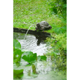 Turtle de figurines ubbink