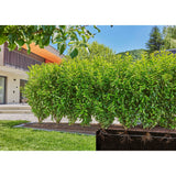 Gardena micro-arrosage goutte à goutte pour haies et arbustes (50 m) goutteur (noir)