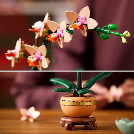 Mini-orchidée Lego Botanicals - 10343