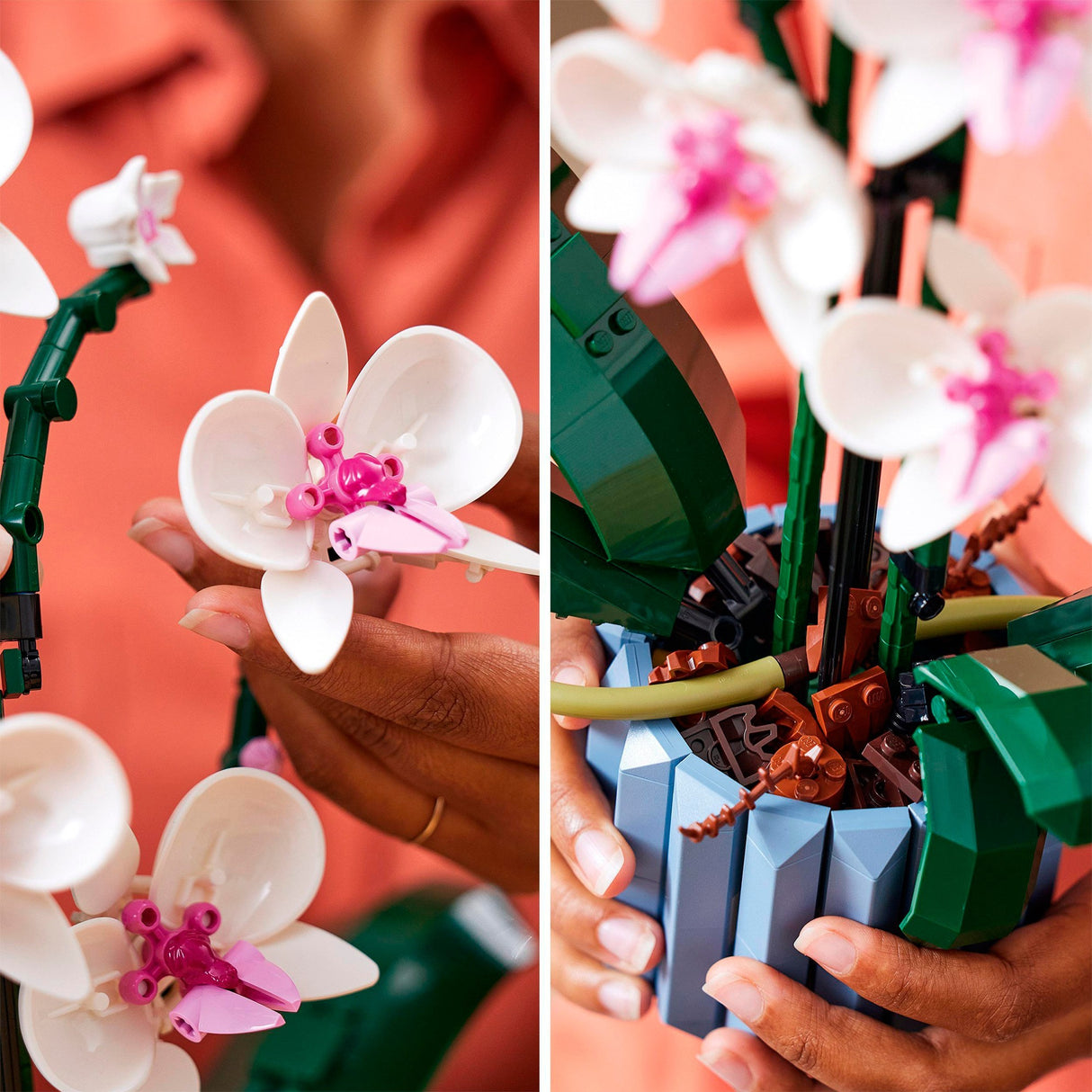 Icônes LEGO 10311 Orchid