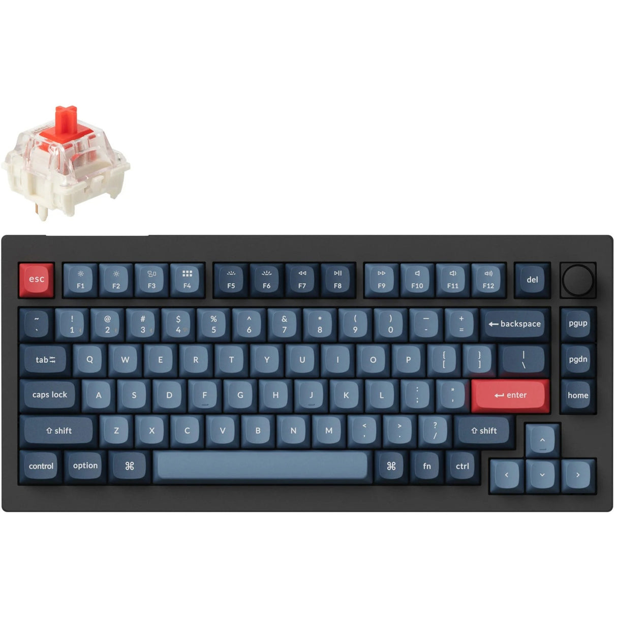 Clavier mécanique Keychron v1 max-d1 rgb (noir, disposition américaine (qwerty), rouge gateron jupiter, 75%, leds rgb, pbt double-shot, échange à chaud, 2,4 ghz | bluetooth | usb-c, bouton)