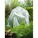Mesh insecte de la nature, fine-mailli